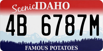 ID license plate 4B6787M