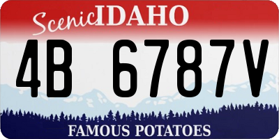 ID license plate 4B6787V