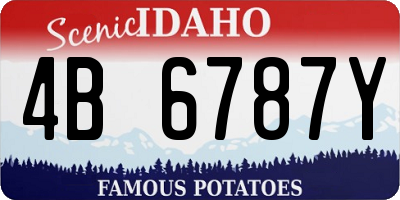 ID license plate 4B6787Y