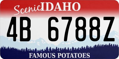 ID license plate 4B6788Z