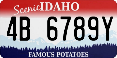 ID license plate 4B6789Y