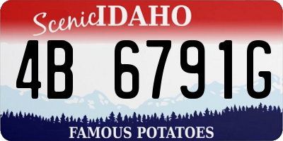 ID license plate 4B6791G