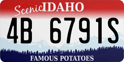 ID license plate 4B6791S