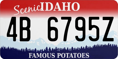 ID license plate 4B6795Z