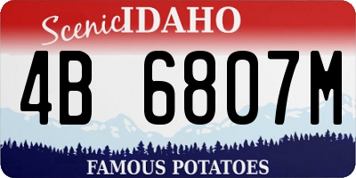 ID license plate 4B6807M