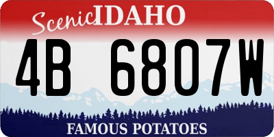 ID license plate 4B6807W
