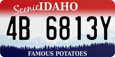 ID license plate 4B6813Y