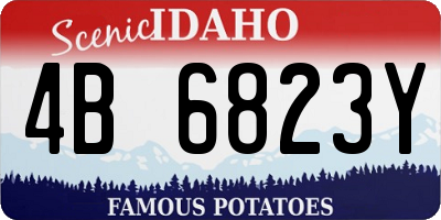 ID license plate 4B6823Y