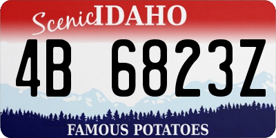 ID license plate 4B6823Z