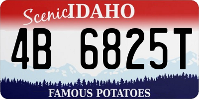 ID license plate 4B6825T