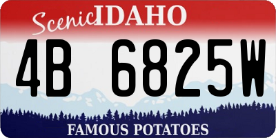 ID license plate 4B6825W