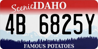 ID license plate 4B6825Y