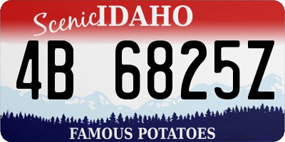 ID license plate 4B6825Z