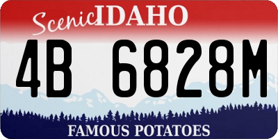 ID license plate 4B6828M