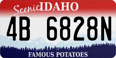 ID license plate 4B6828N
