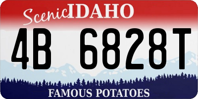 ID license plate 4B6828T
