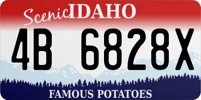 ID license plate 4B6828X