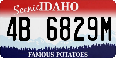 ID license plate 4B6829M