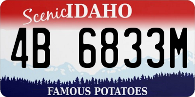 ID license plate 4B6833M
