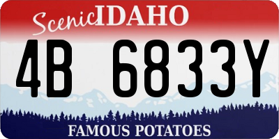 ID license plate 4B6833Y
