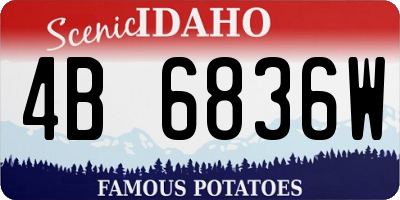 ID license plate 4B6836W