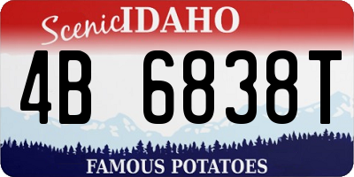ID license plate 4B6838T
