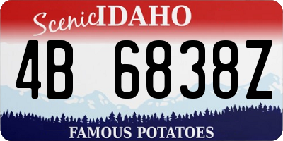 ID license plate 4B6838Z