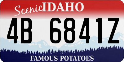 ID license plate 4B6841Z