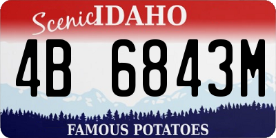 ID license plate 4B6843M