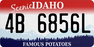 ID license plate 4B6856L
