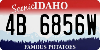 ID license plate 4B6856W