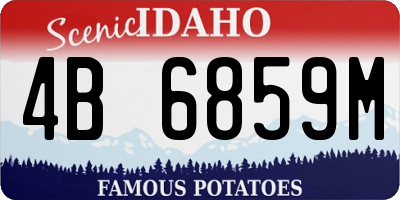 ID license plate 4B6859M