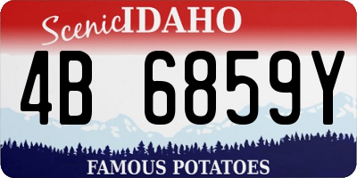 ID license plate 4B6859Y
