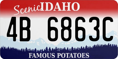 ID license plate 4B6863C