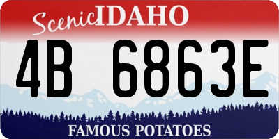 ID license plate 4B6863E