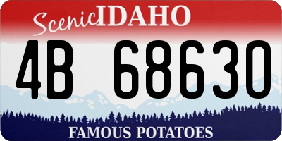 ID license plate 4B6863O