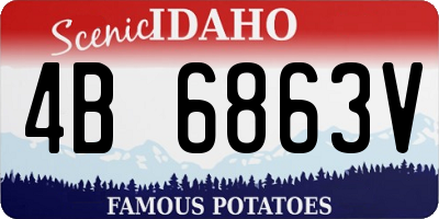 ID license plate 4B6863V