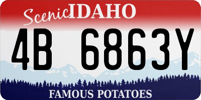 ID license plate 4B6863Y