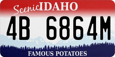 ID license plate 4B6864M