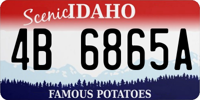 ID license plate 4B6865A