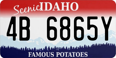 ID license plate 4B6865Y