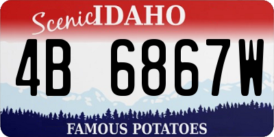 ID license plate 4B6867W