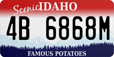 ID license plate 4B6868M