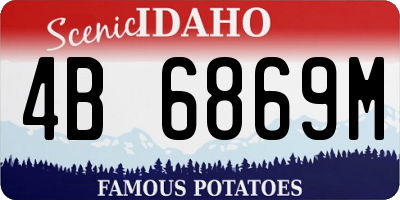 ID license plate 4B6869M
