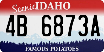 ID license plate 4B6873A