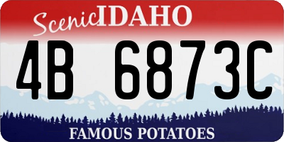 ID license plate 4B6873C