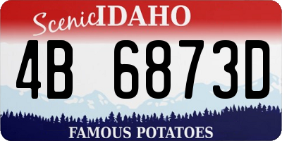ID license plate 4B6873D