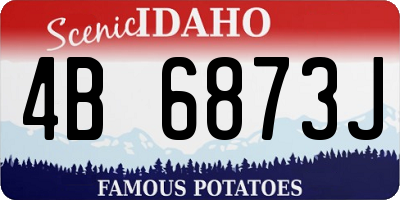 ID license plate 4B6873J