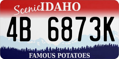 ID license plate 4B6873K