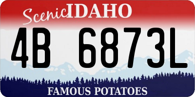 ID license plate 4B6873L